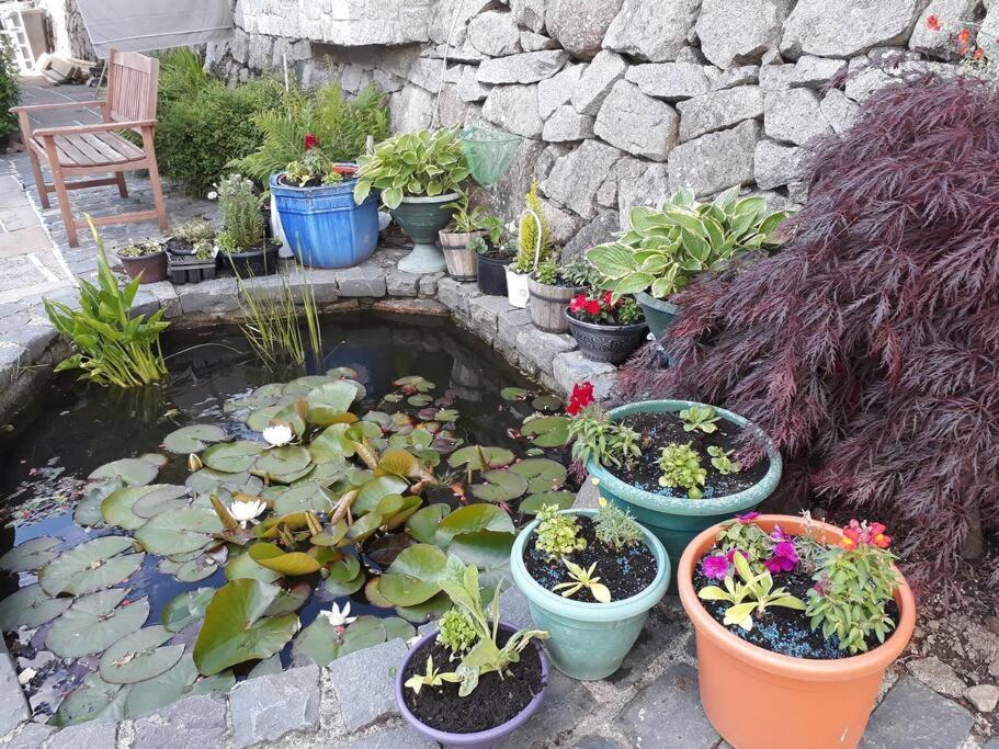 Country Cottage Close To The City. Newry Esterno foto