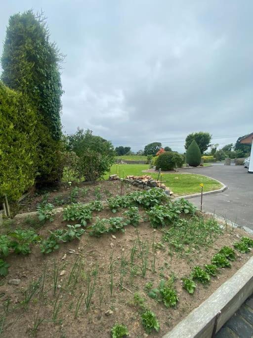 Country Cottage Close To The City. Newry Esterno foto